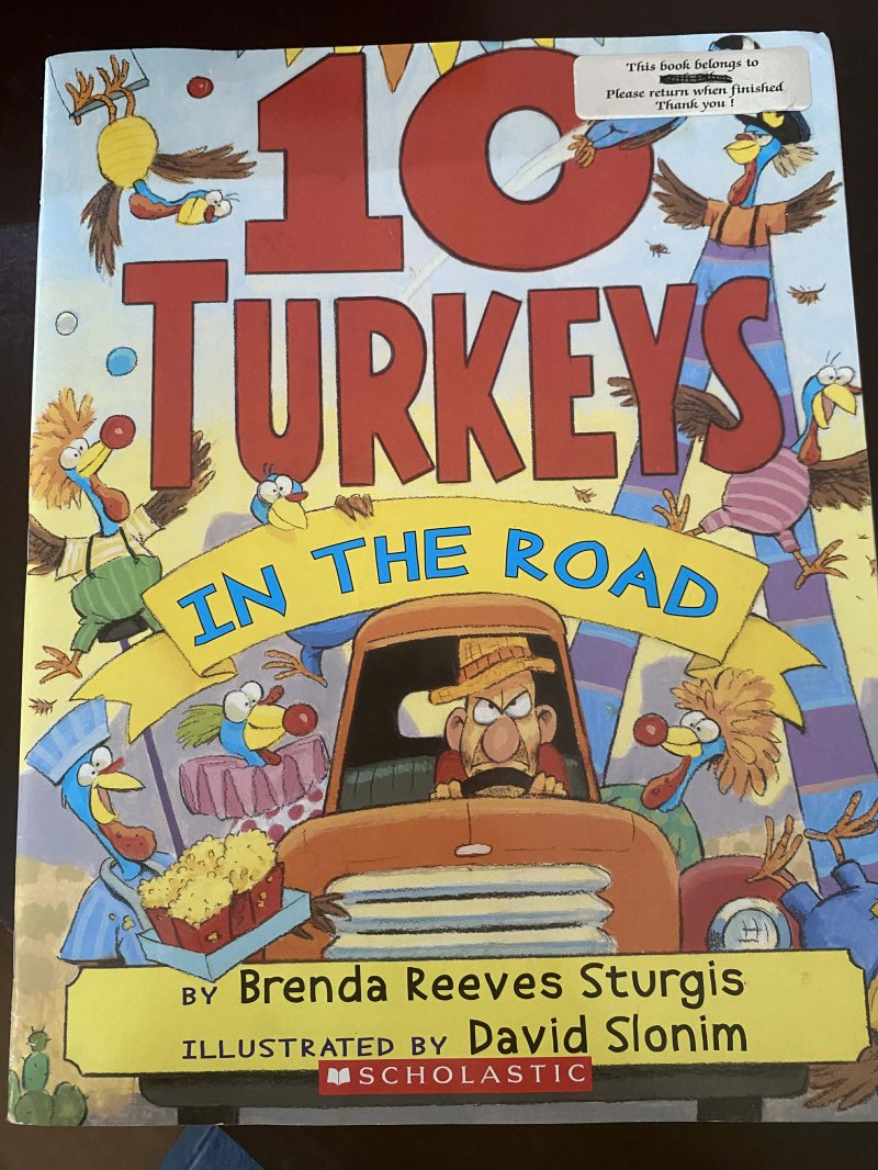10 Turkeys in the Road