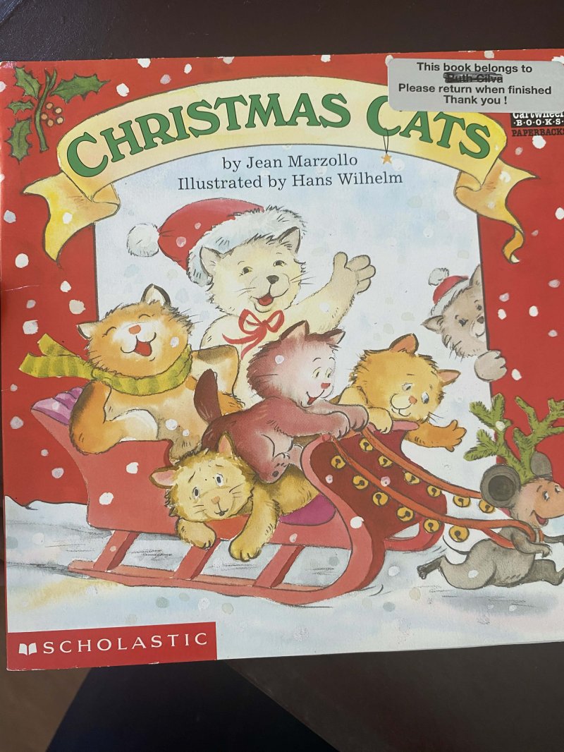Christmas Cats