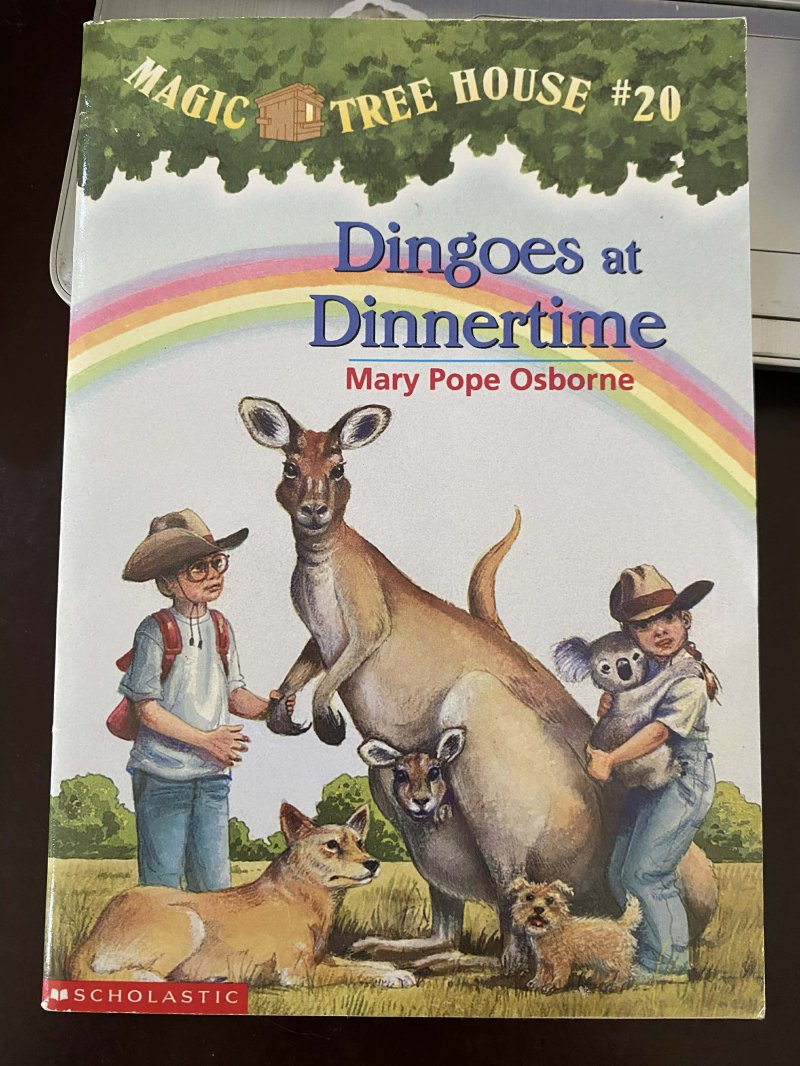 Dingoes at Dinnertime