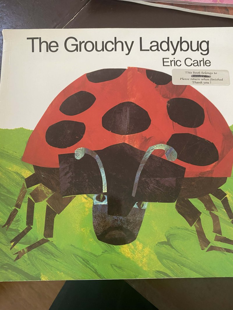 The Grouchy Ladybug