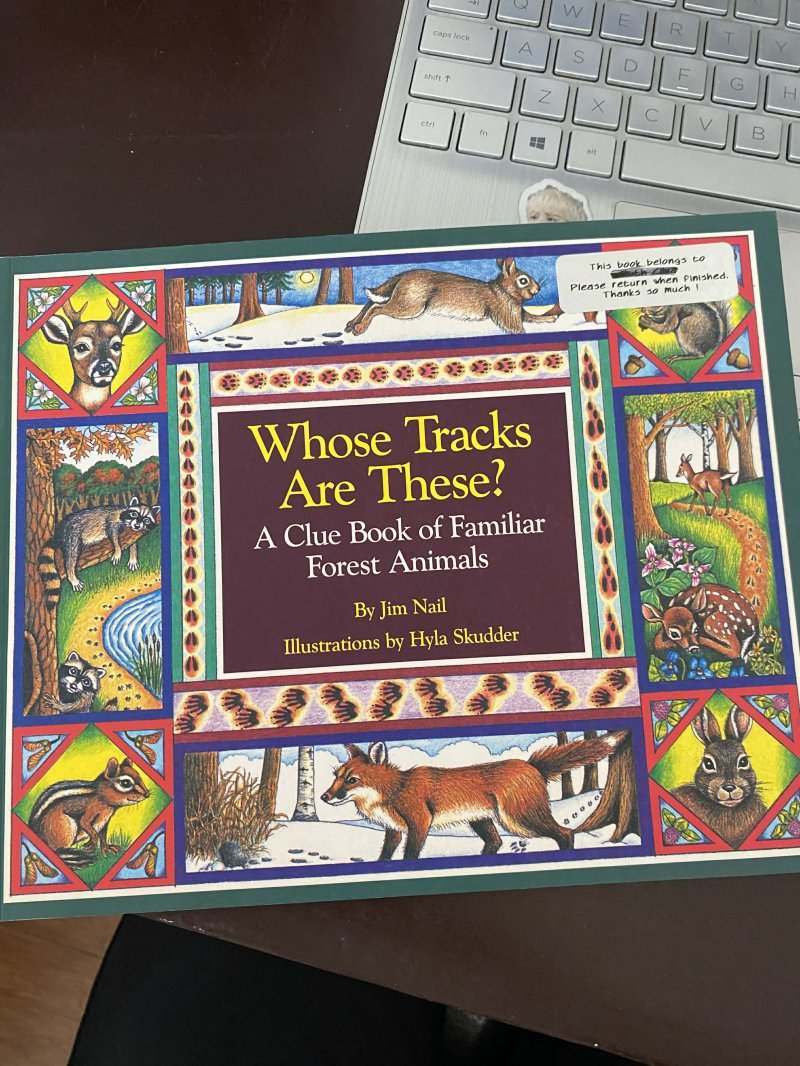 Whose Tracks are These?