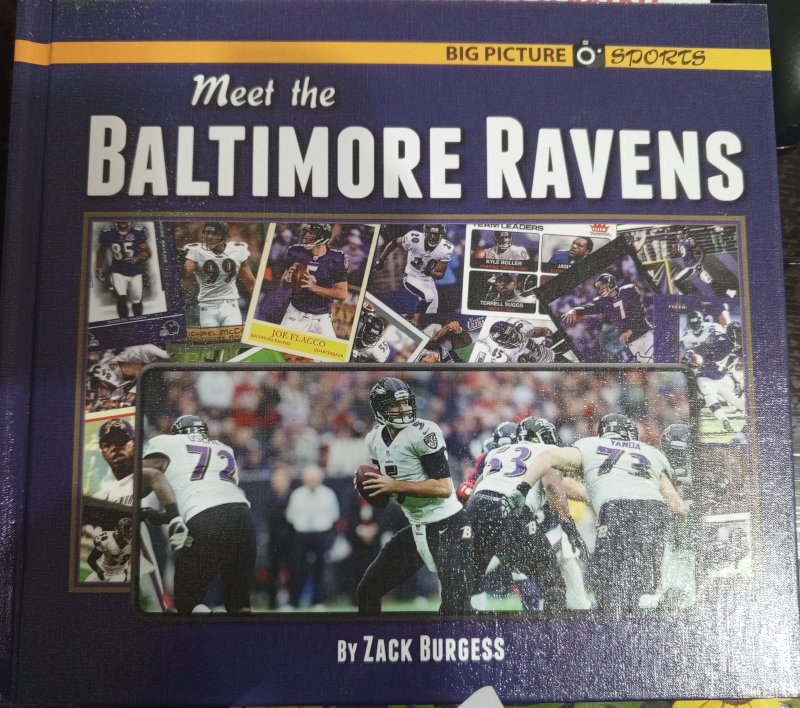 Meet the Baltimore Ravens