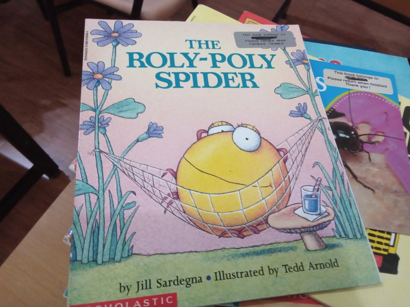 The Roly Poly Spider