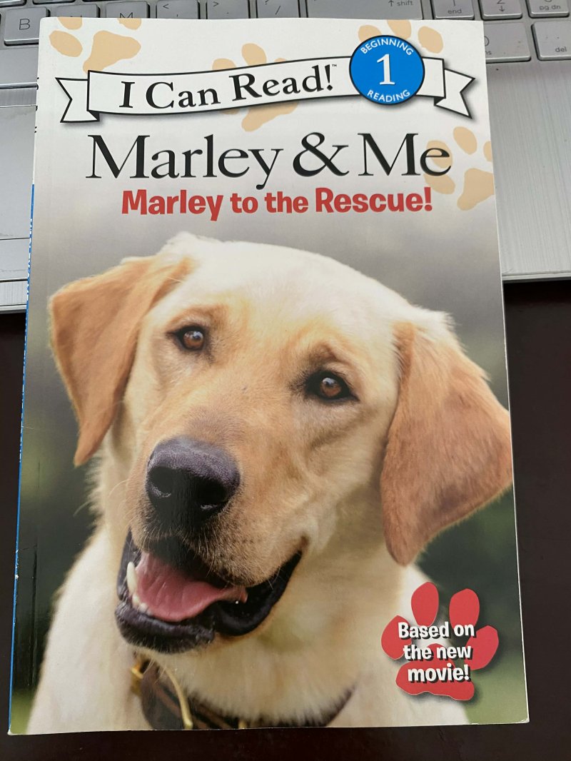 Marley and Me (Marley to the Rescue)