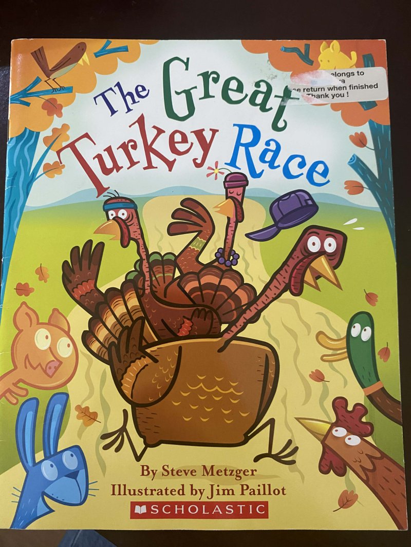 The Great Turkey Race