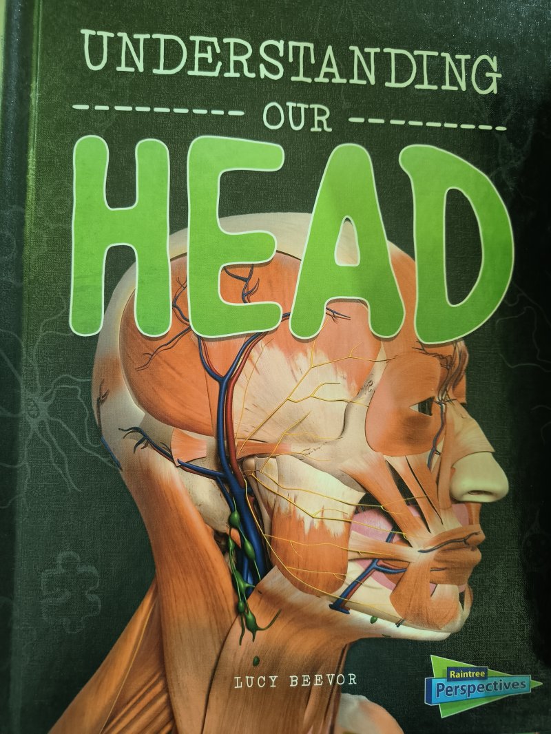 Understanding Our Head