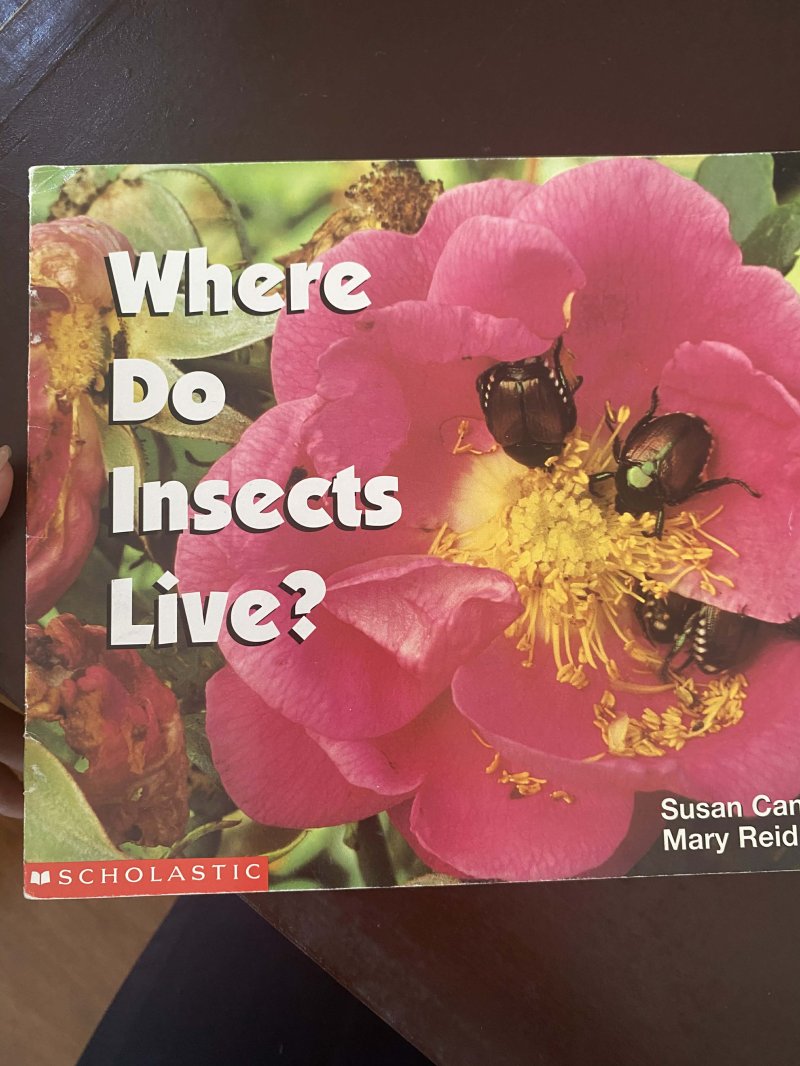 Where do insects live?