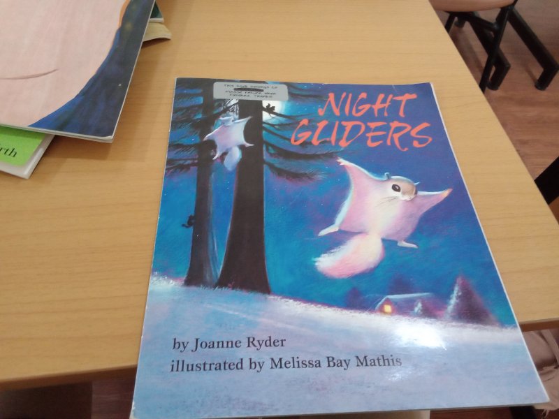 Night Gliders