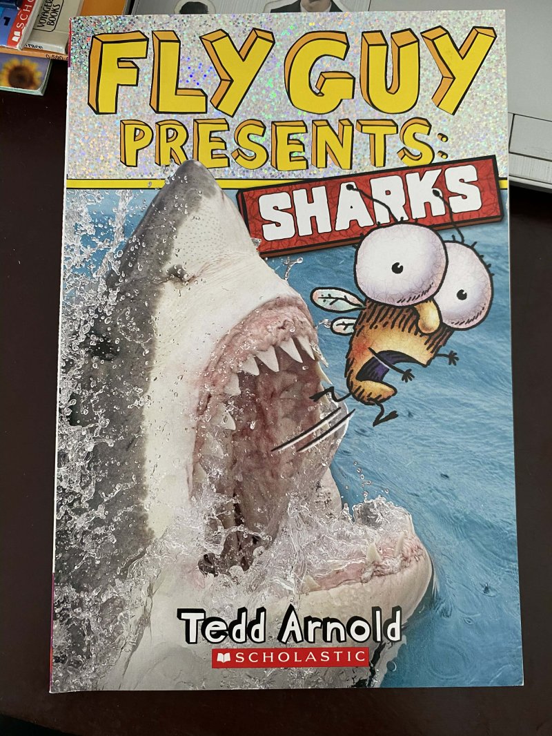 Fly Guy Presents: Sharks