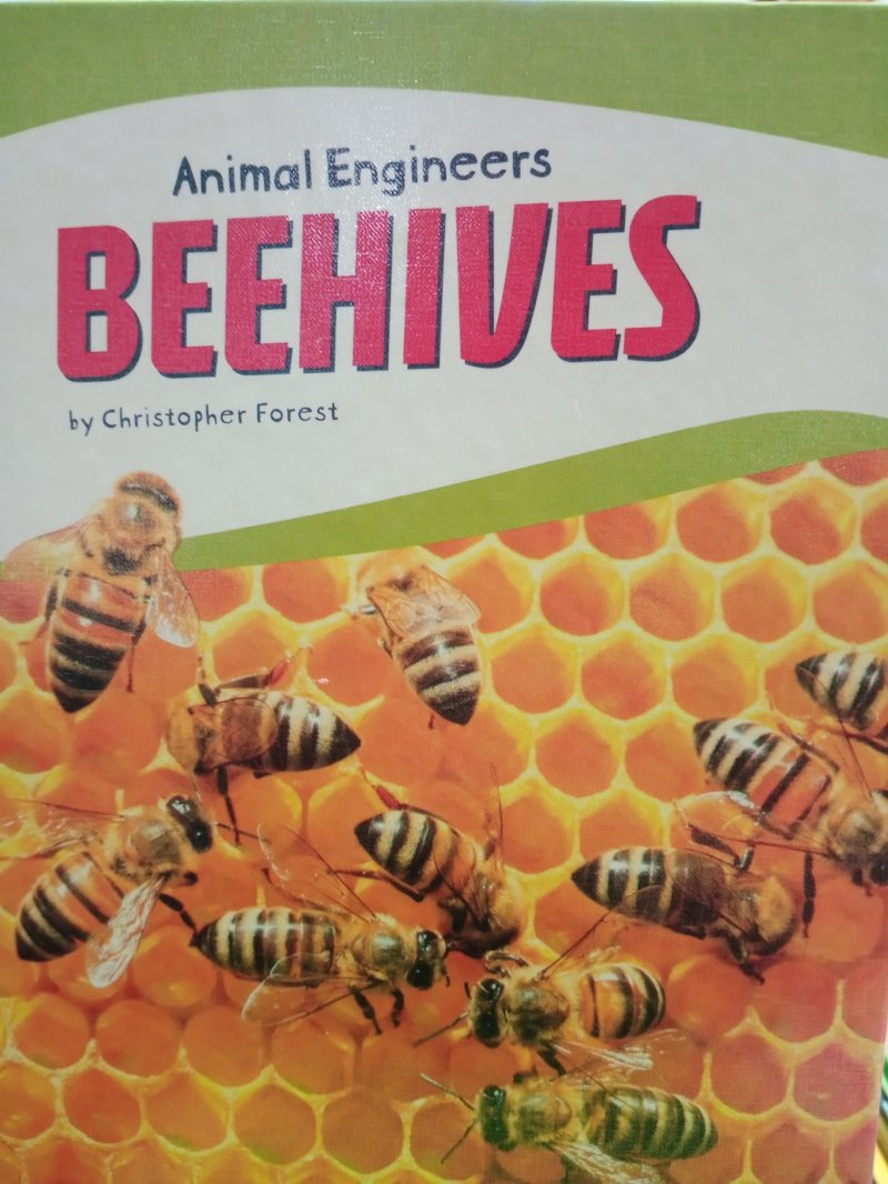 Beehives