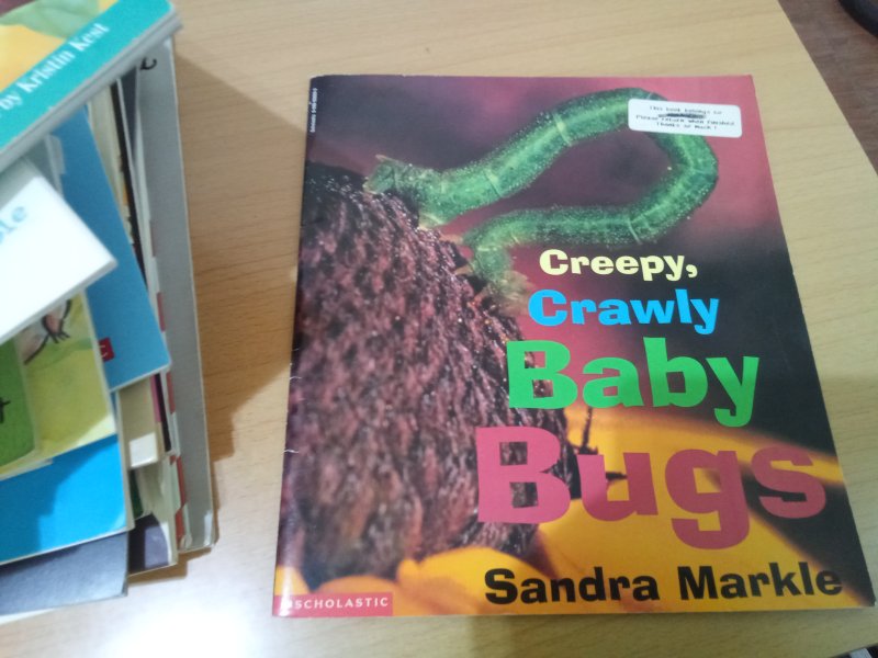 Creepy, Crawly Baby Bugs