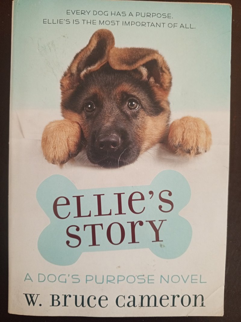 Ellie's Story
