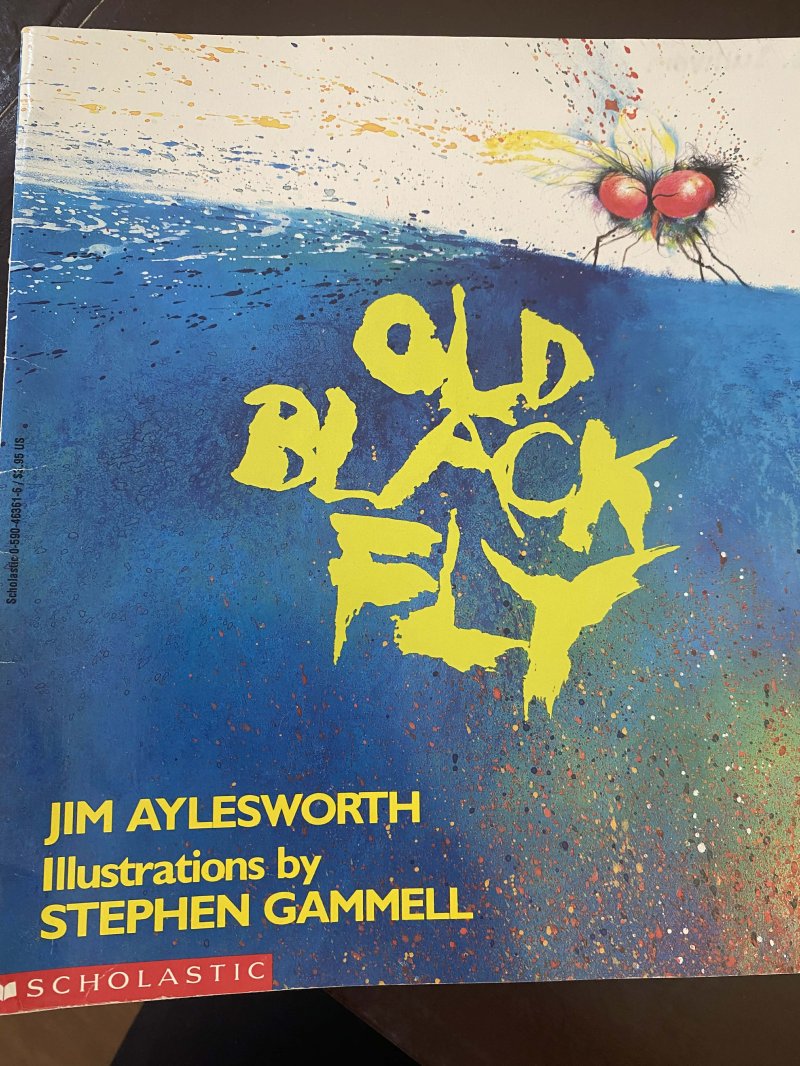 Old Black Fly