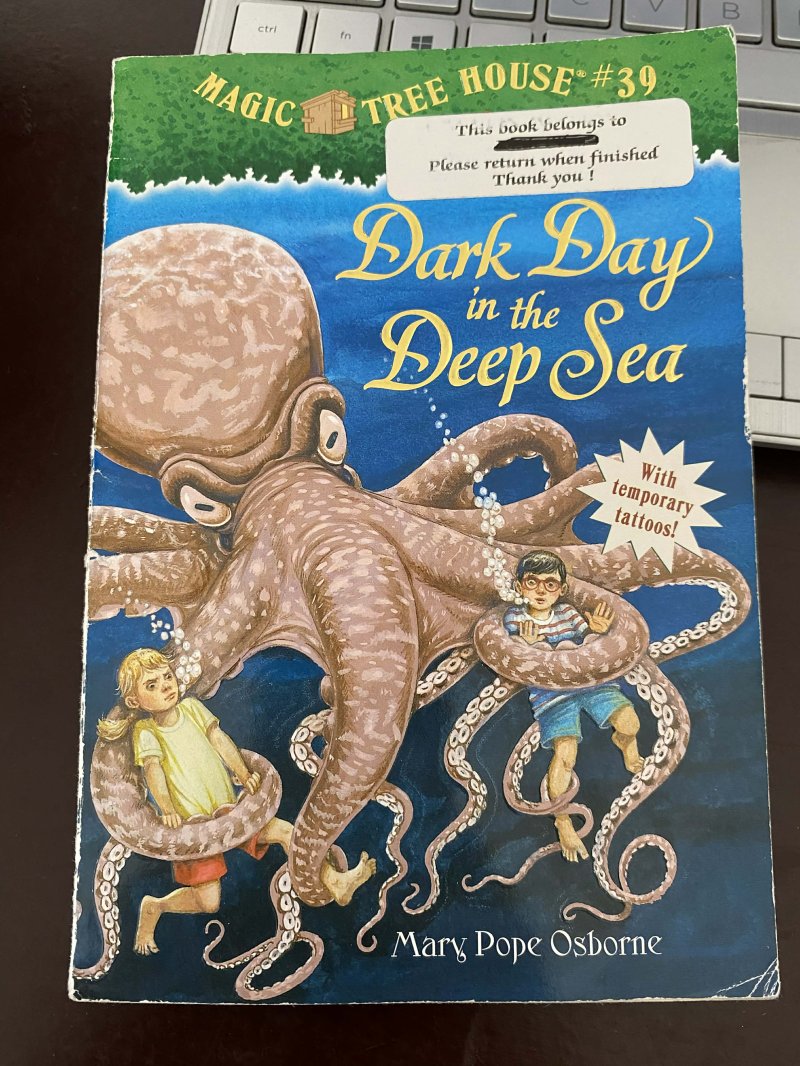 Dark Day in the Deep Sea