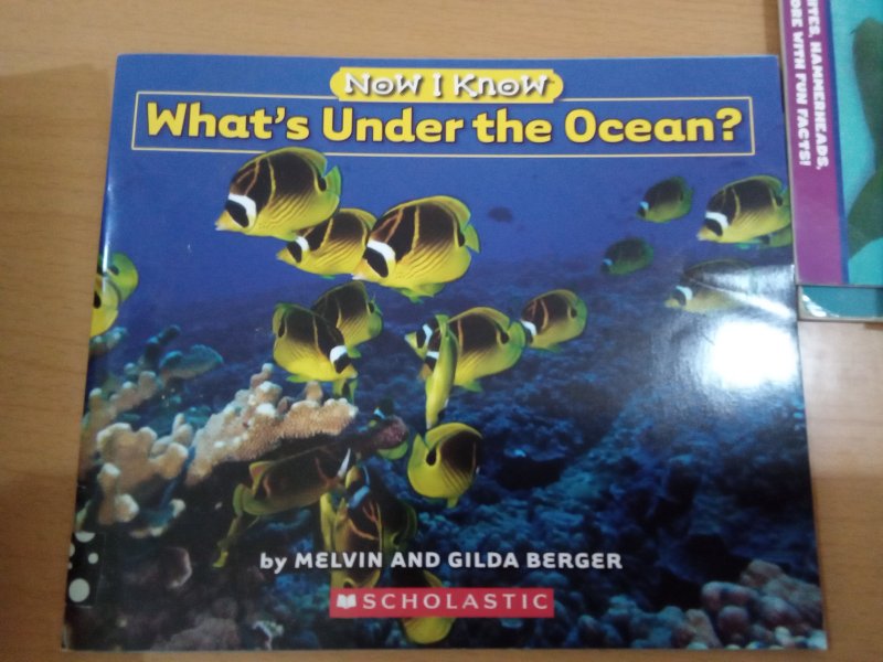 What's Under the Ocean