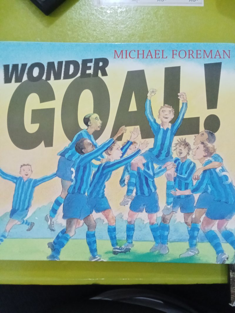 Wonder goal