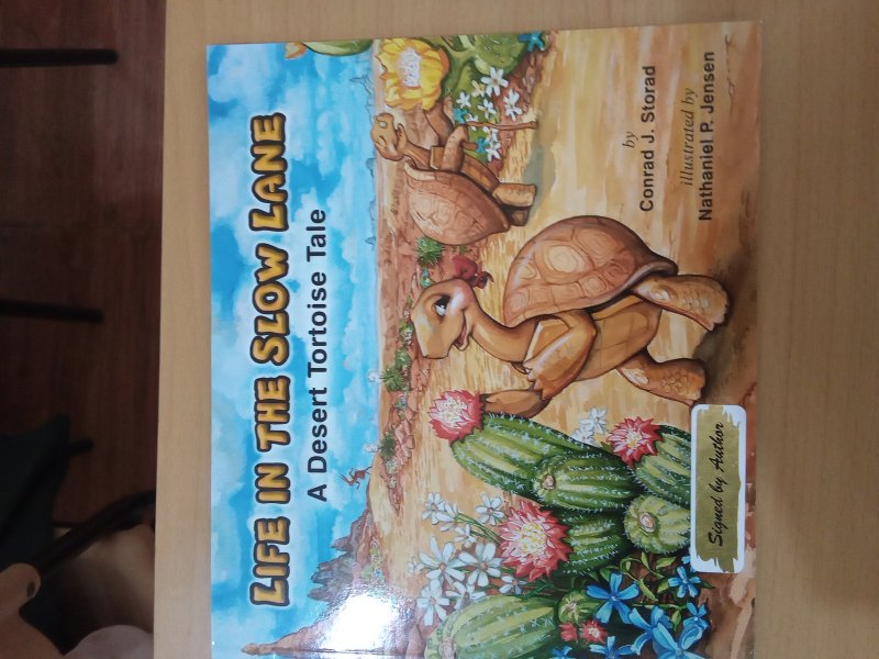 LIFE IN THE SLOW LANE