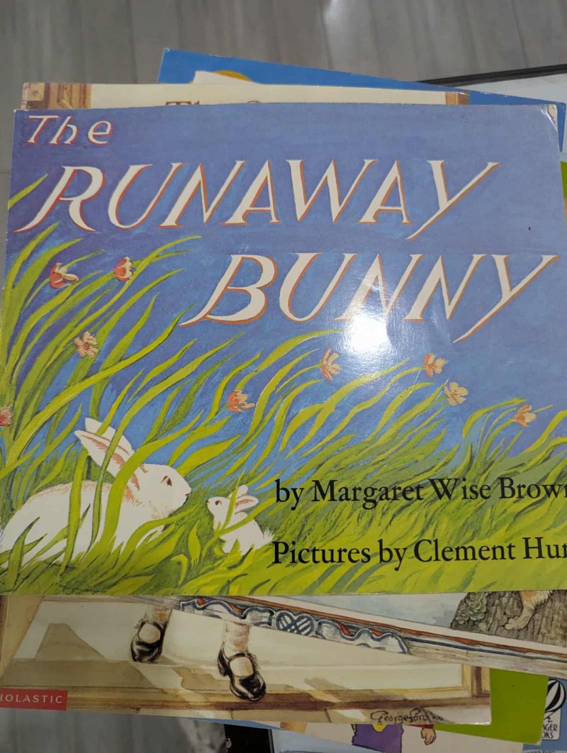 The Runaway Bunny