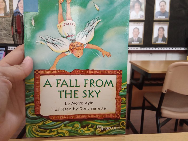 A FALL FROM THE SKY 
