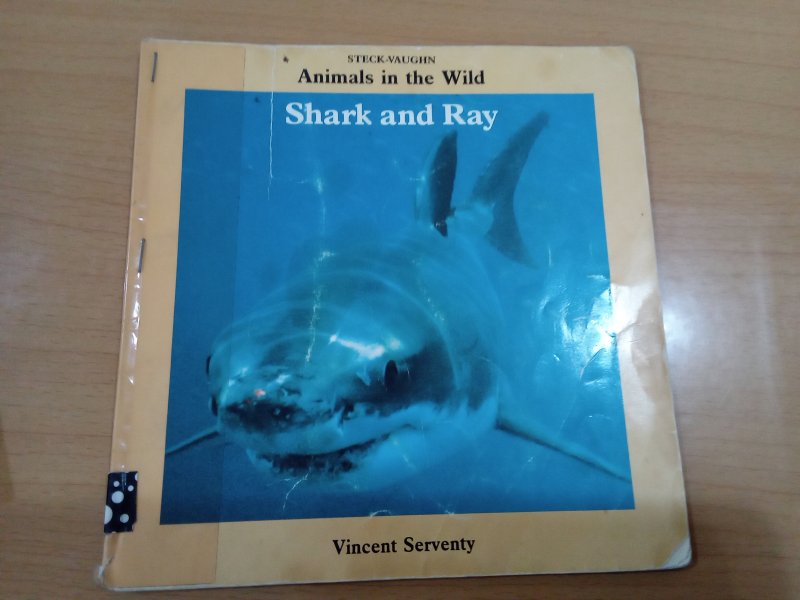 Animals in the Wild Shark and Ray