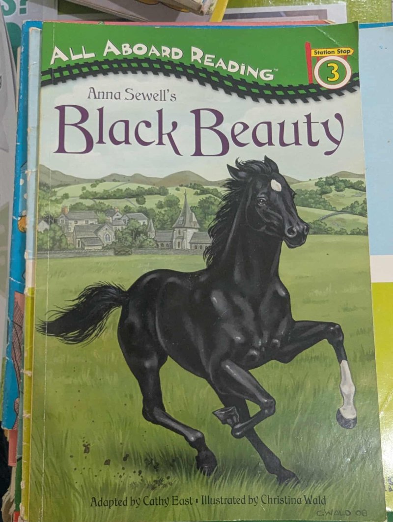 Black Beauty