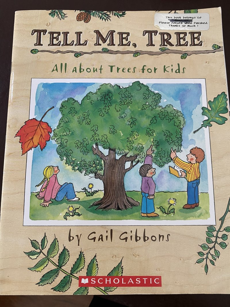 Tell Me, Tree