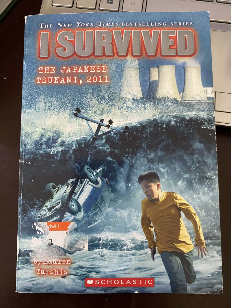 I survived, The Japanese Tsunami, 2011