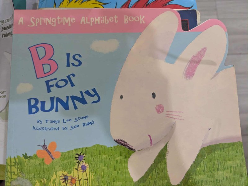 B is for Bunny 