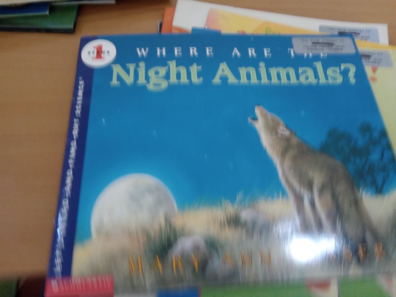 Where Are The Night Animals?