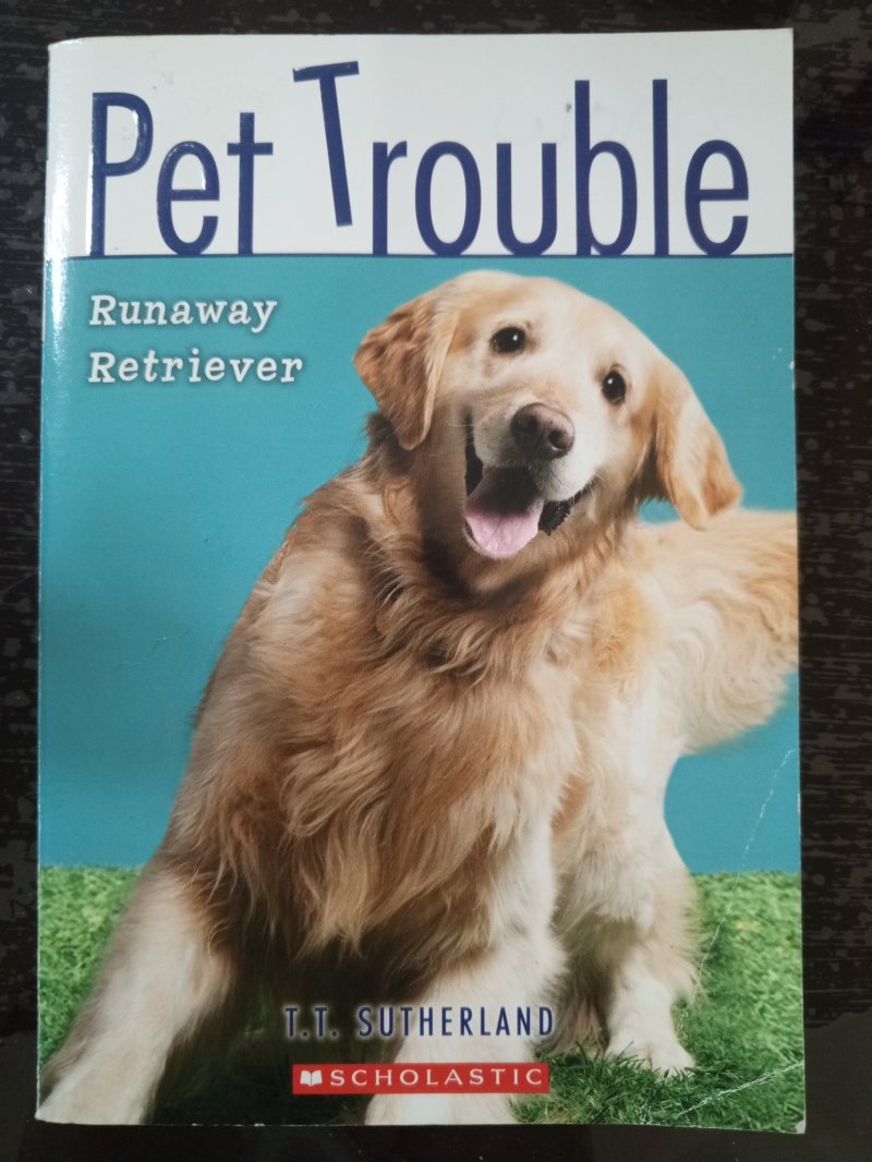 Pet trouble "Runaway Retriever"