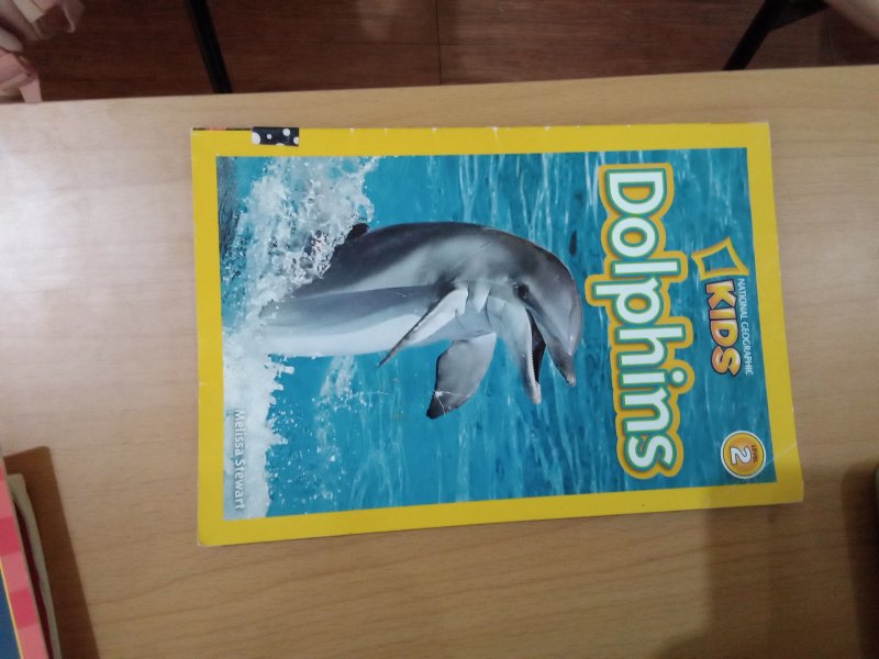 Dolphins