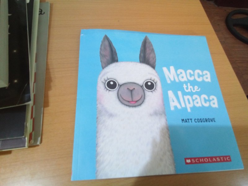 Macca the Alpaca