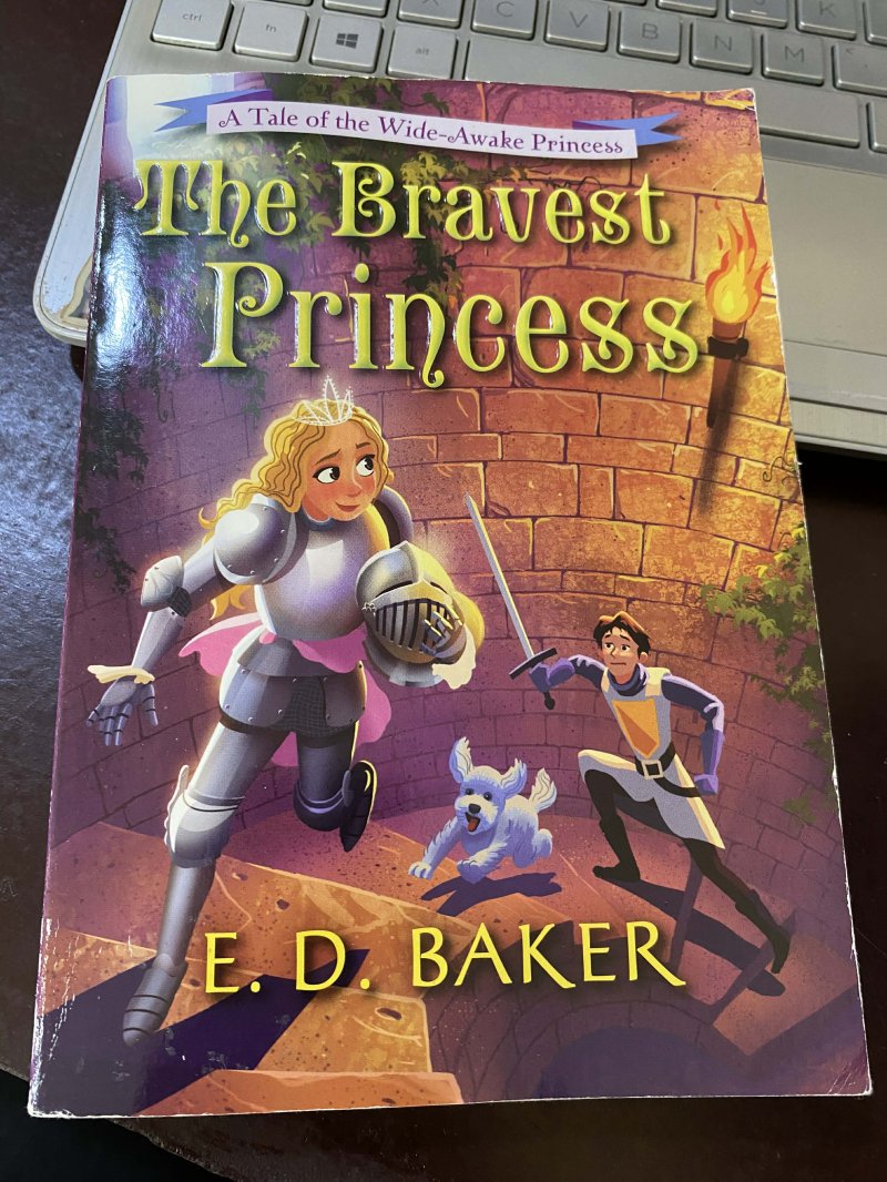 The Bravest Princess