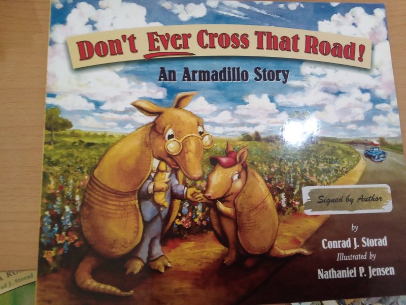 Don't Ever Cross That Road