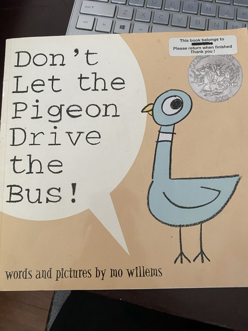 Don't Let the Pigeon drive the Bus!