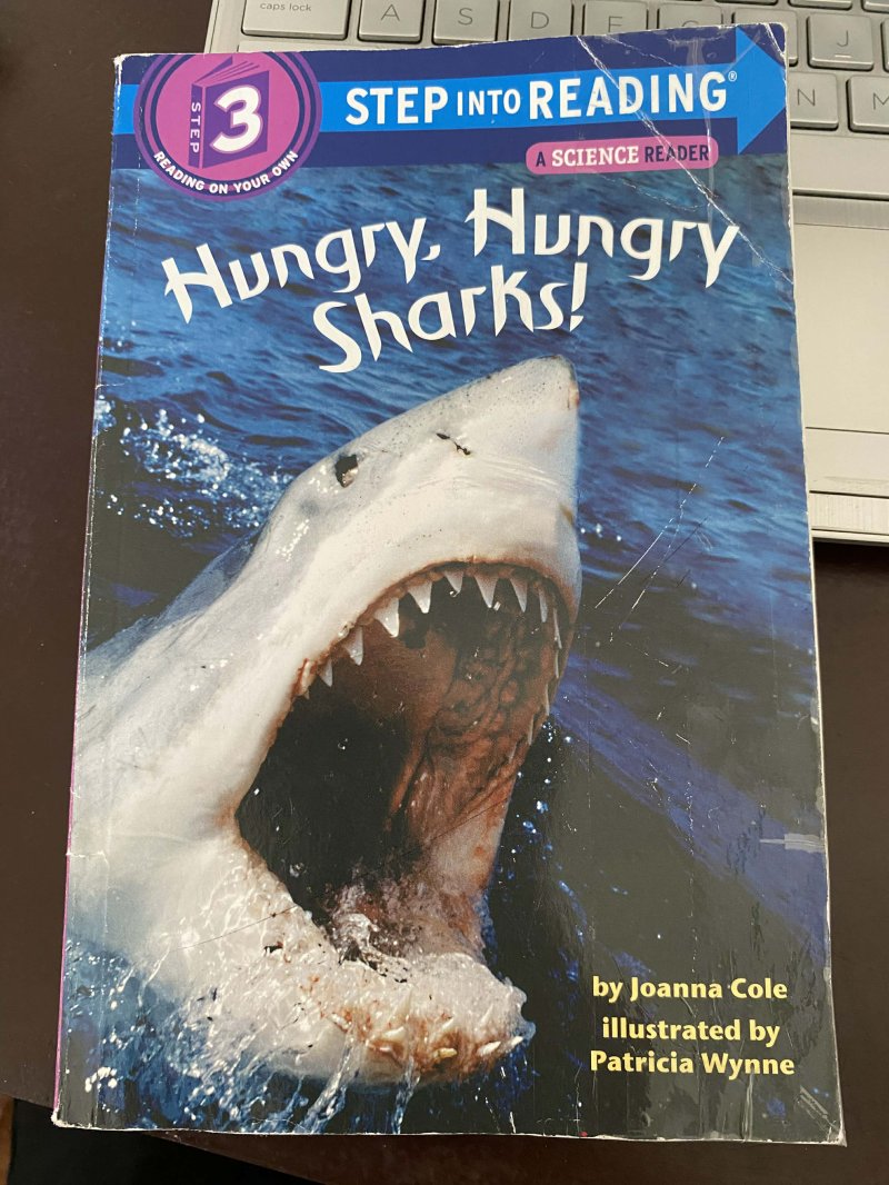 Hungry, Hungry Sharks!