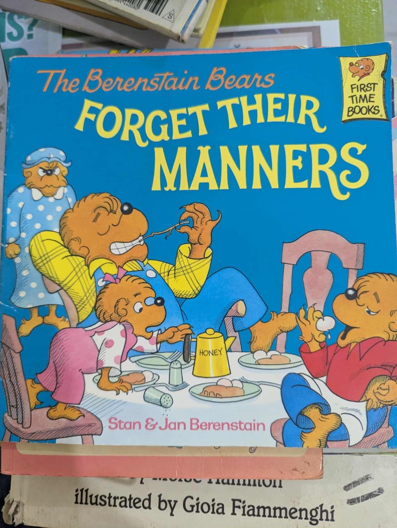 The Berenstain Bears - Forget The Manners