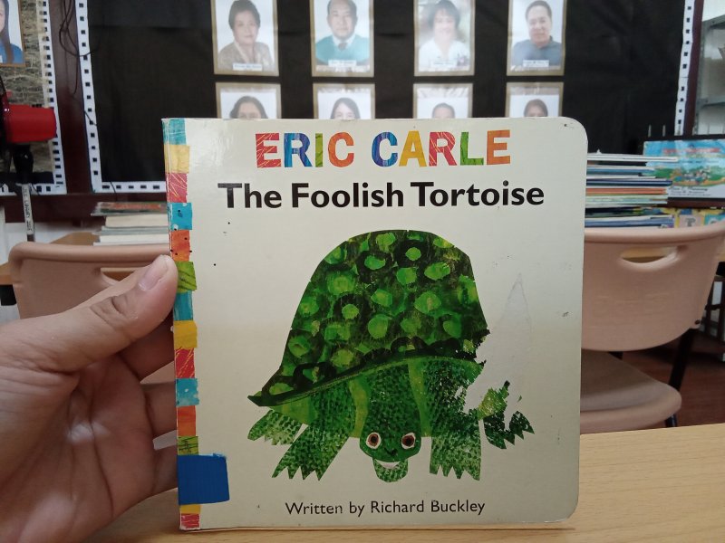 The foolish tortoise
