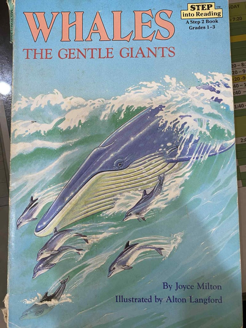 Whales The Gentle Giants
