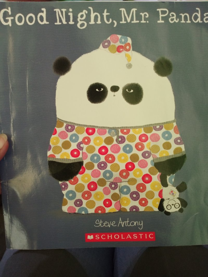 Good Night, Mr. Panda