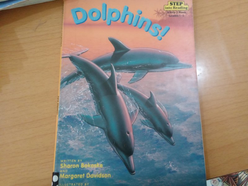 Dolphins