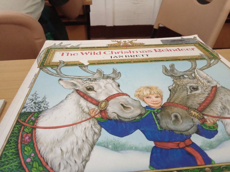 The Wild Christmas Reideer