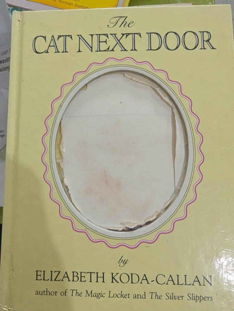 The Cat Next Door 