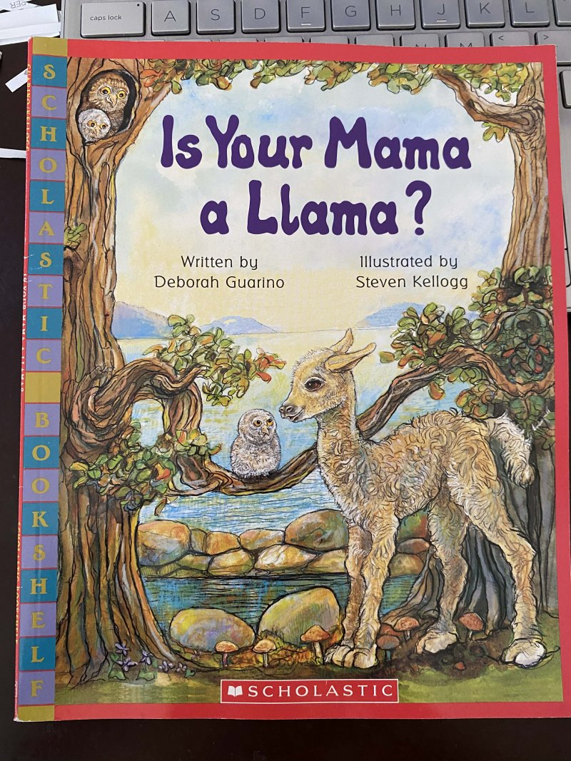 Is Your Mama a Llama?