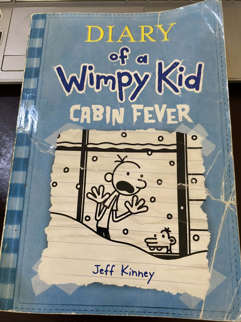 Diary of a Wimpy Kid Cabin Fever