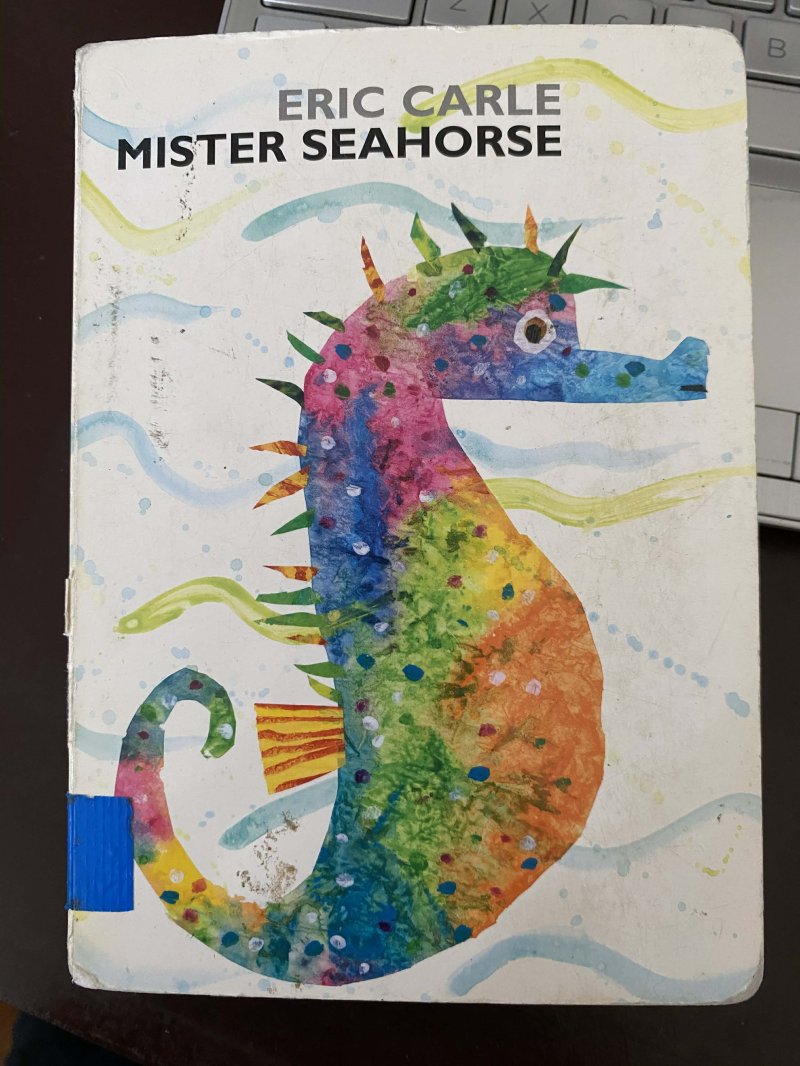 Mister Seahorse