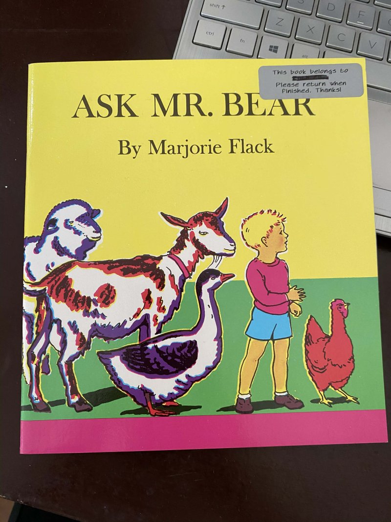 Ask Mr. Bear