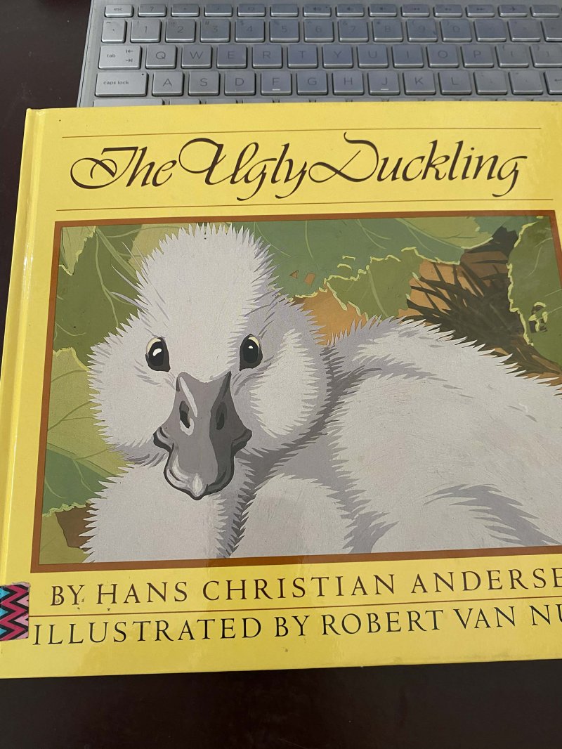 The Ugly Duckling