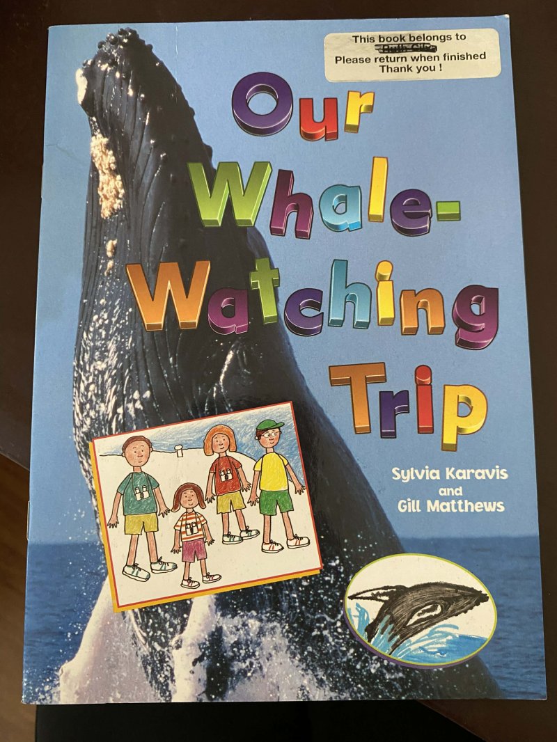 Our Whale Watching Trip