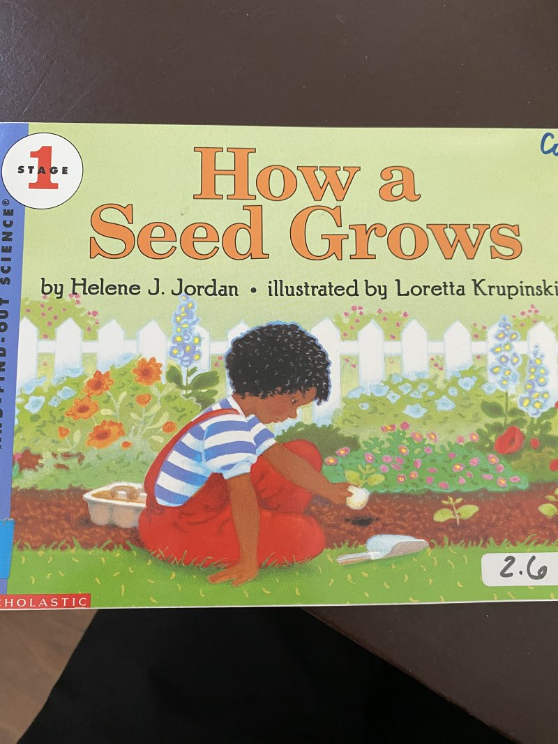 How a seed grows